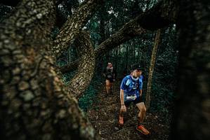 BIB: 
                            <button type="button" onclick="openModal(25696184)" class="btn btn-primary btn-sm float-right btn-popup" data-toggle="modal" data-target=".modal-high-quality">
                        <i class="fas fa-shopping-cart"></i> Add to Cart
                    </button>
                                            <button type="button" onclick="isThisMe(25696184, true)" class="btn btn-success btn-sm float-right btn-popup btn-isme hidden" data-toggle="tooltip" data-placement="bottom" title="นี่คือรูปของคุณใช่ไหม คลิกที่นี่เพื่อเอาเข้าอัลบั้ม">
                        <i class="fas fa-plus"></i> Add to album
                    </button>
                    <button type="button" onclick="isThisMe(25696184, false)" class="btn btn-warning btn-sm float-right btn-popup btn-isnotme hidden">
                        <i class="fas fa-ban"></i> Remove from album
                    </button>